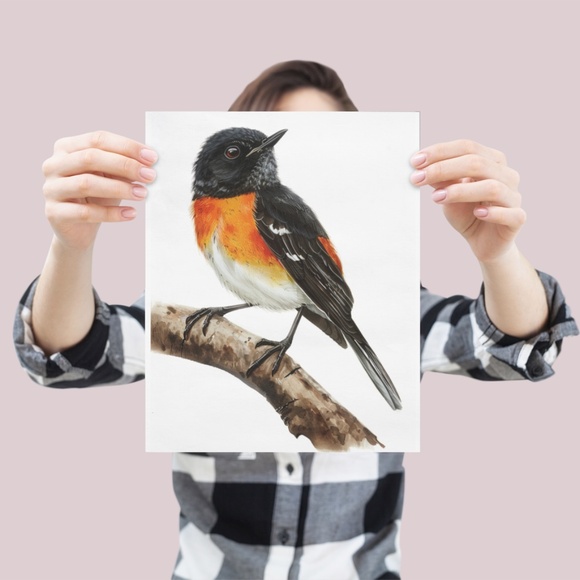 Watercolor American Redstart Bird Print Unframed - Wall Art Bird Illustration - Picture 4 of 5